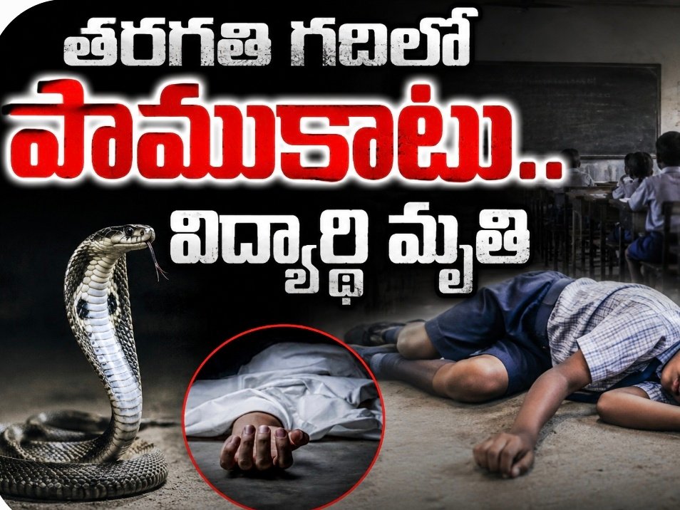 తరగతి గదిలో పాముకాటు.. విద్యార్థి మృతి